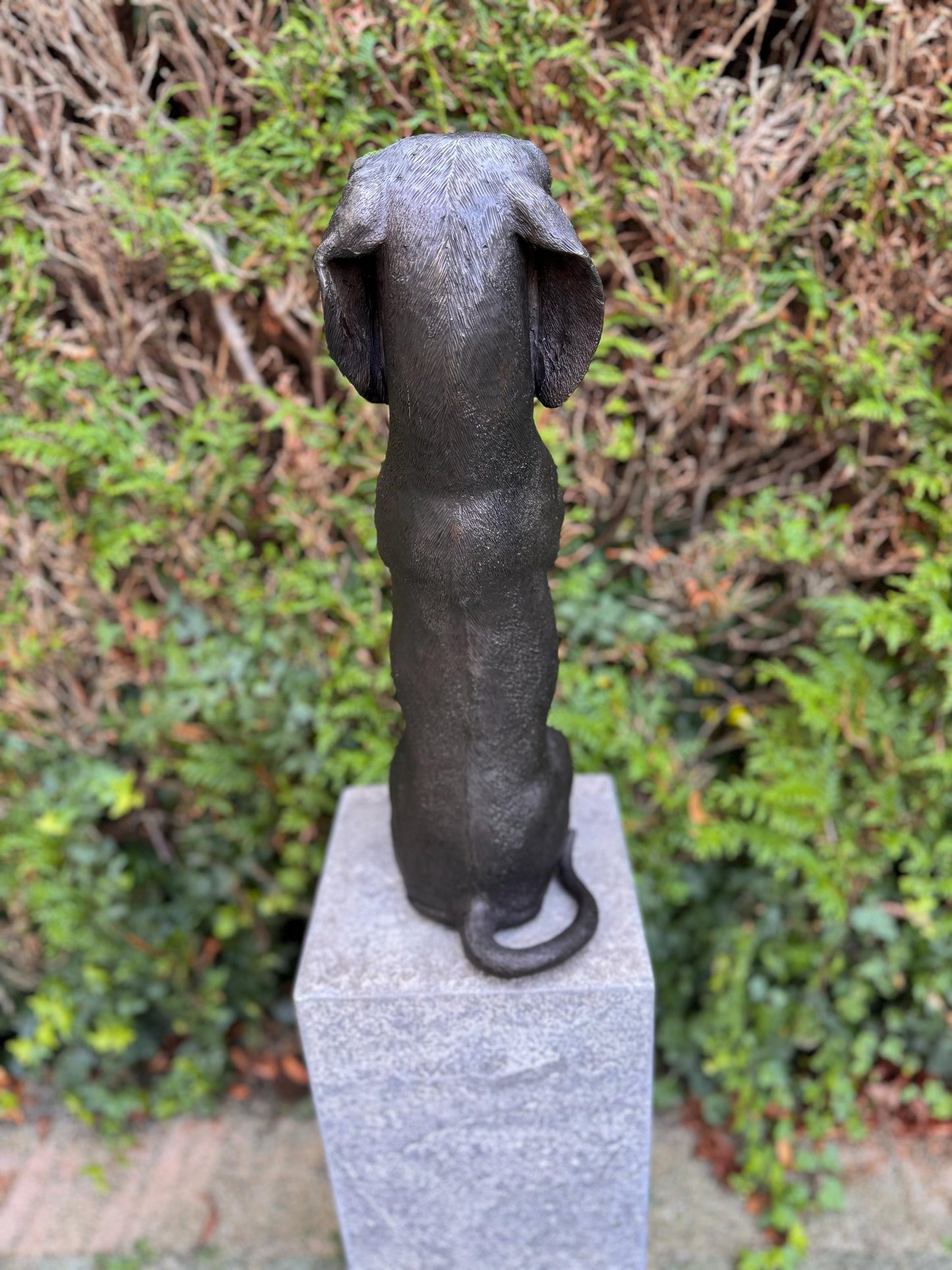 Begging Dachshund – Bronze Sculpture. 24x16x52cm - 7.4Kg