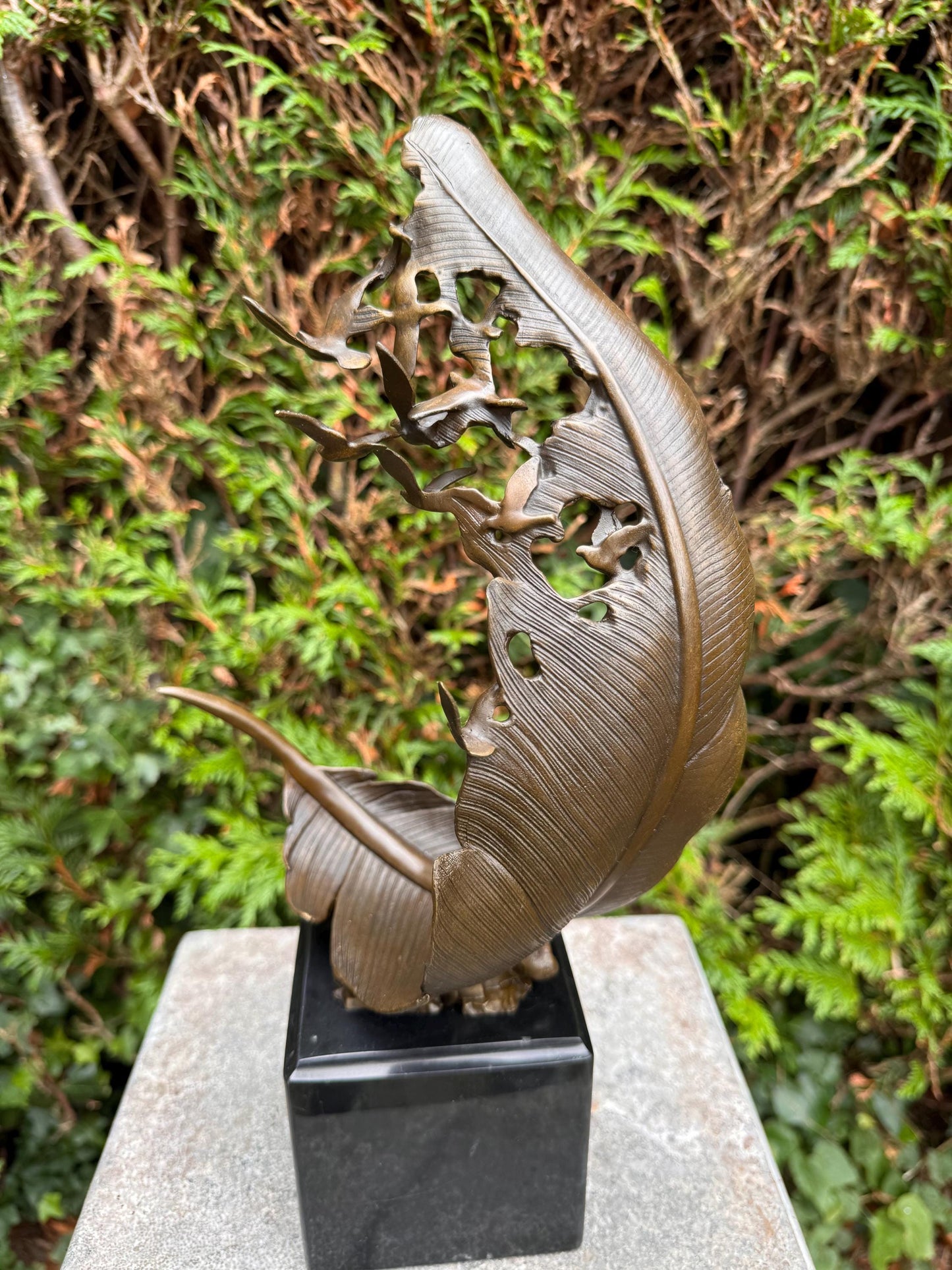 Rising Feather – Bronze Sculpture. 35x19x11cm - 3.3Kg