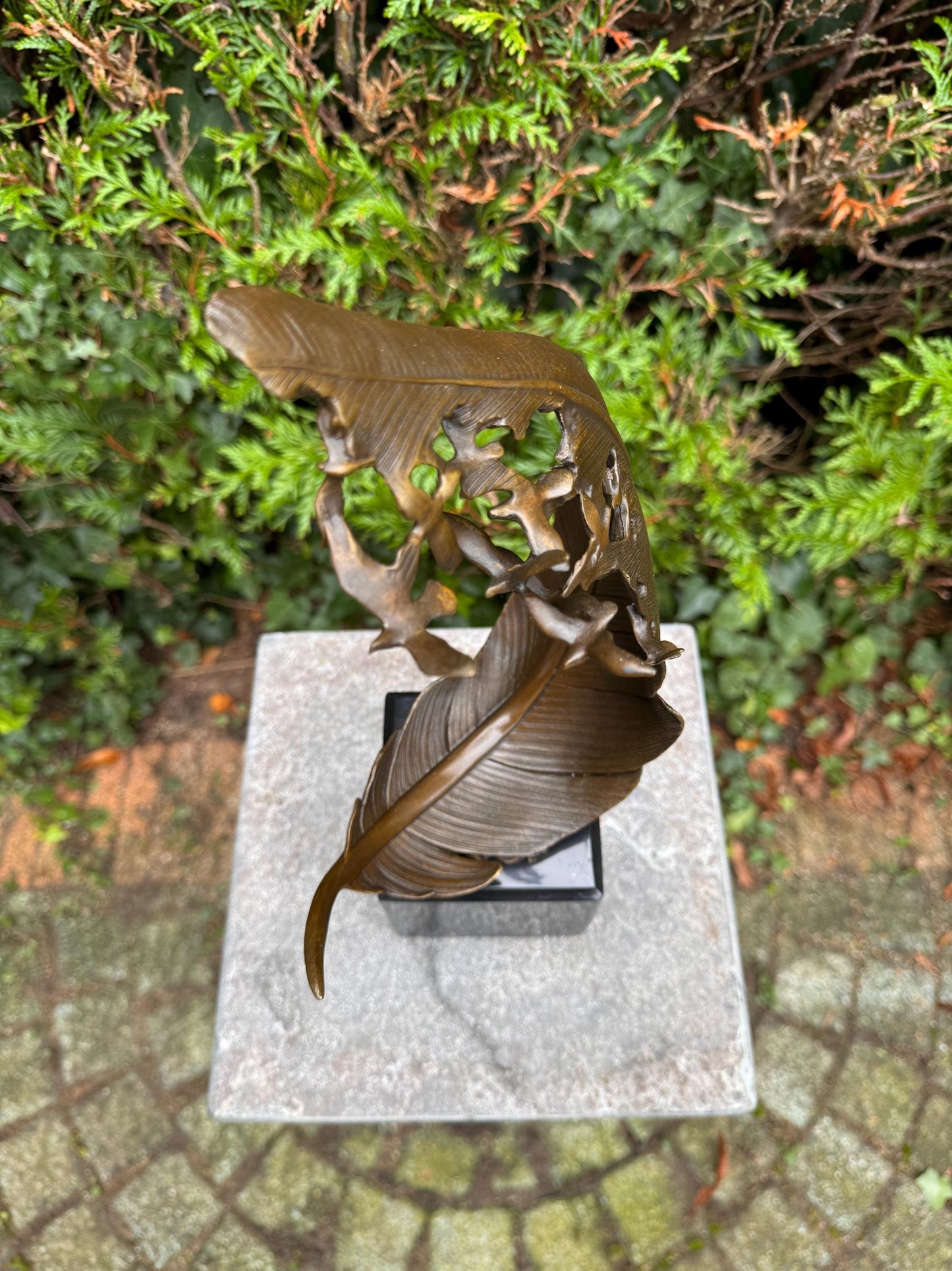 Rising Feather – Bronze Sculpture. 35x19x11cm - 3.3Kg