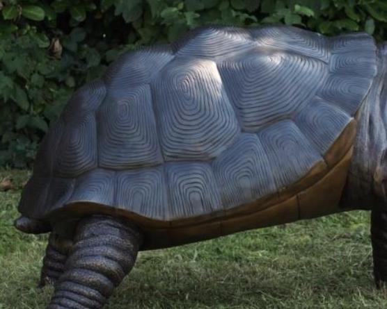 Giant Tortoise – Bronze Sculpture. 155x110x150cm - 40Kg