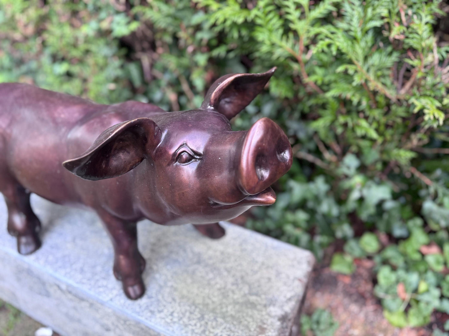 Happy Pig – Bronze Sculpture. 67x30x35cm - 3Kg