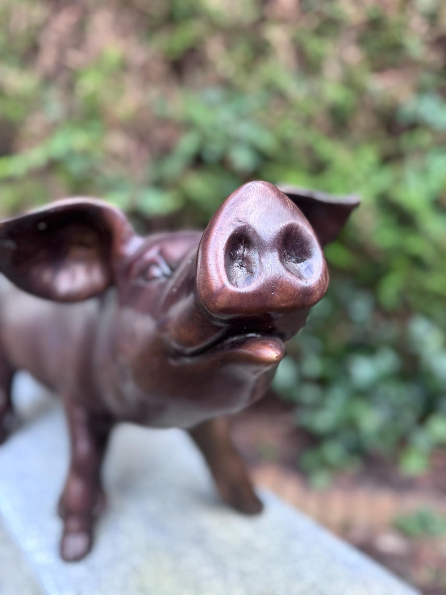 Happy Pig – Bronze Sculpture. 67x30x35cm - 3Kg