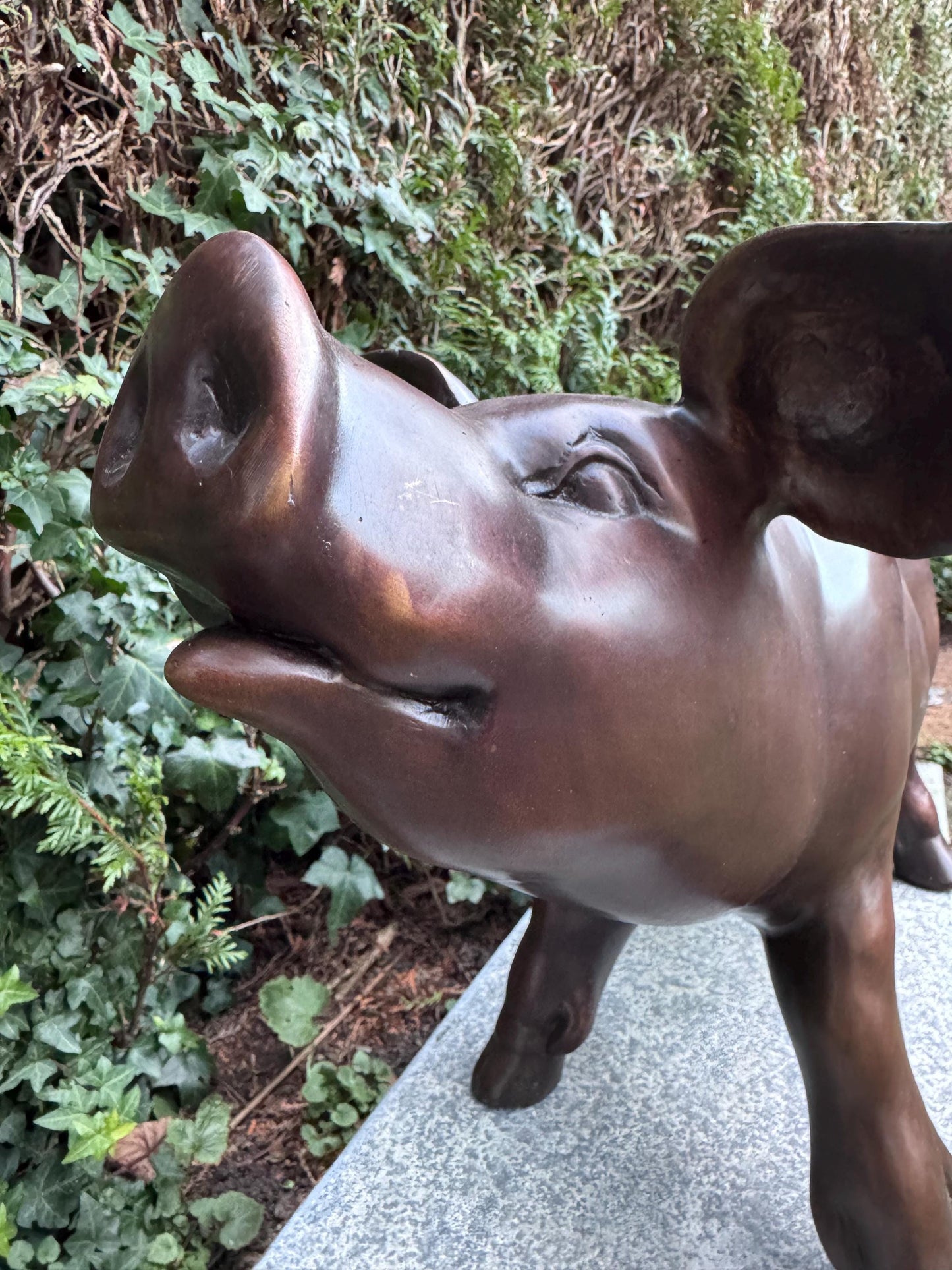 Happy Pig – Bronze Sculpture. 67x30x35cm - 3Kg