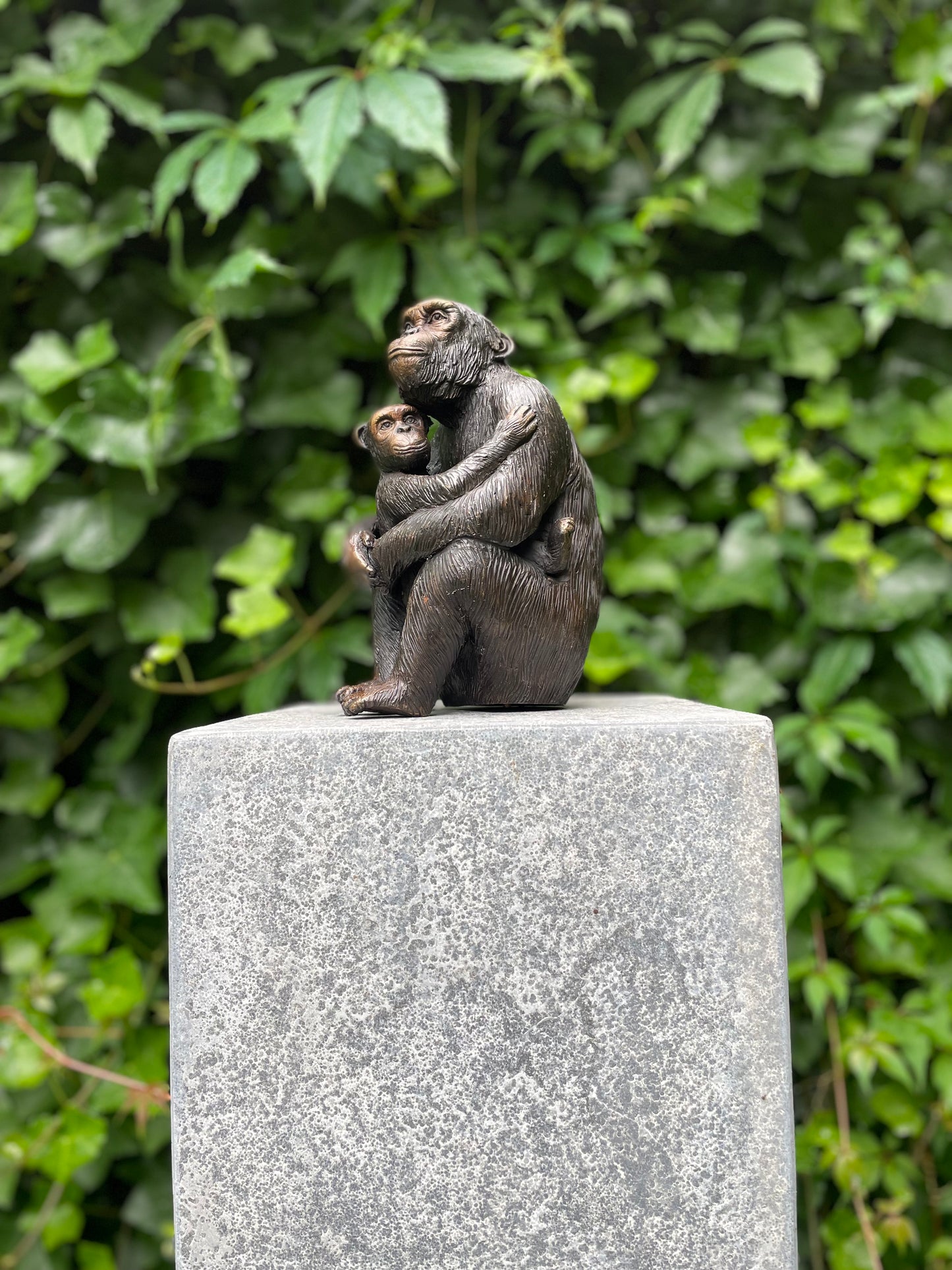 Bronze monkey with baby - chimpanzee - 17x8x9cm