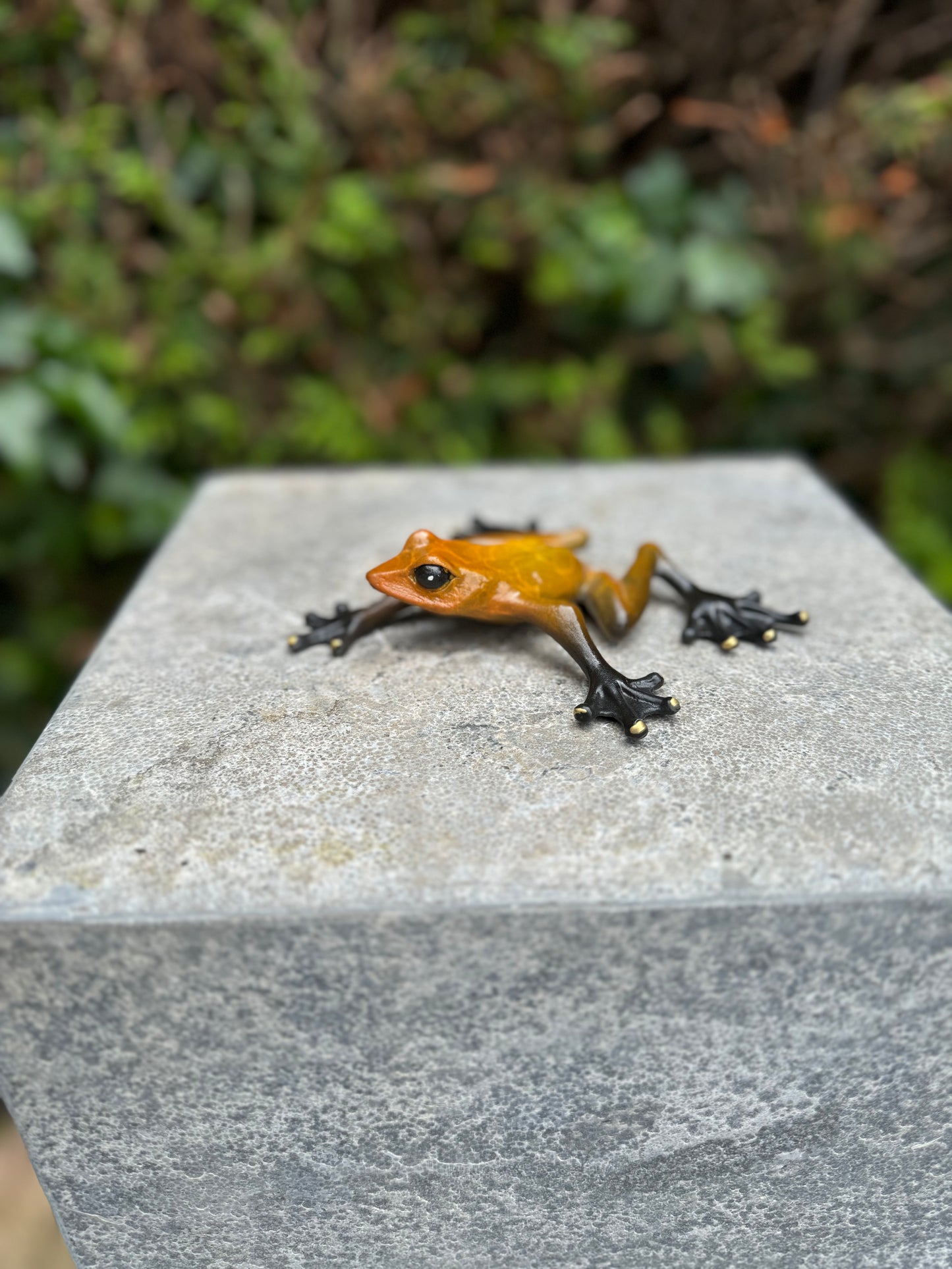 Sapo de Bronze - Estátua de jardim - Decoração de jardim - Lagoa