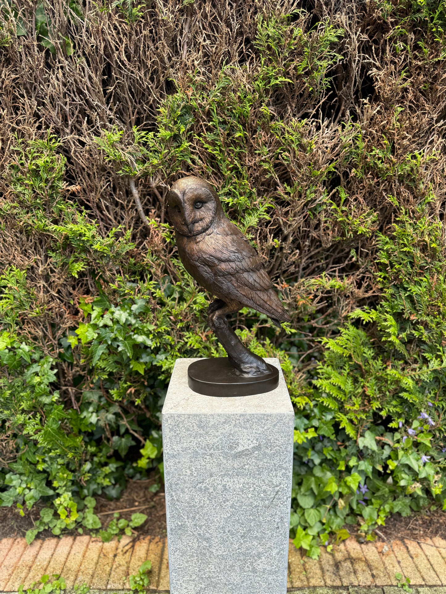 Bronze owl - 16x13x43cm - 5.5Kg