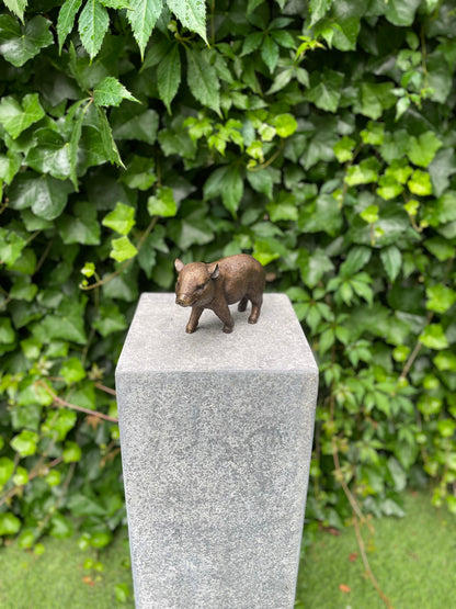 Bronze piglet - 18x16x12cm