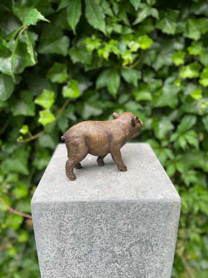 Bronze piglet - 18x16x12cm