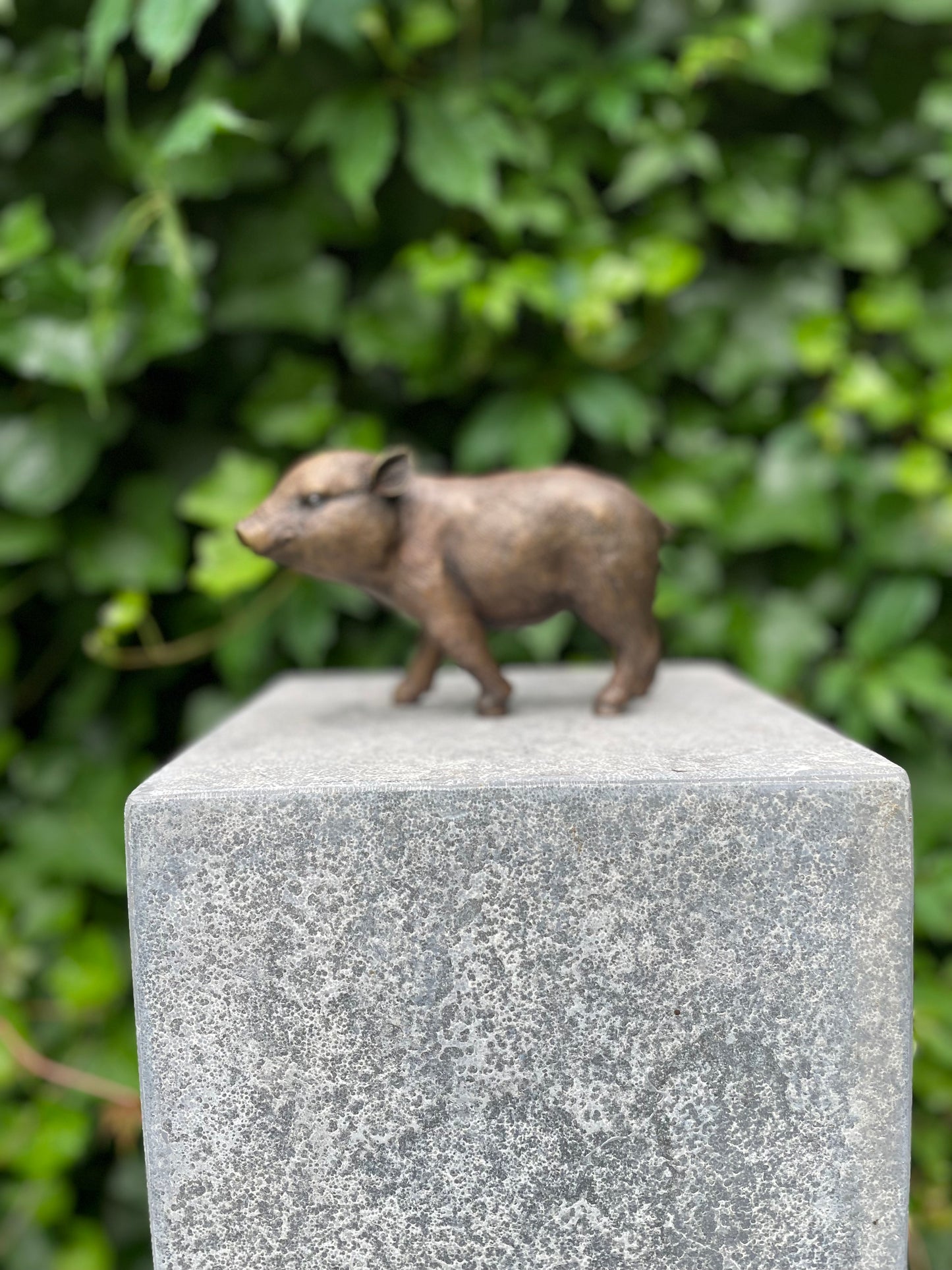 Bronze piglet - 18x16x12cm