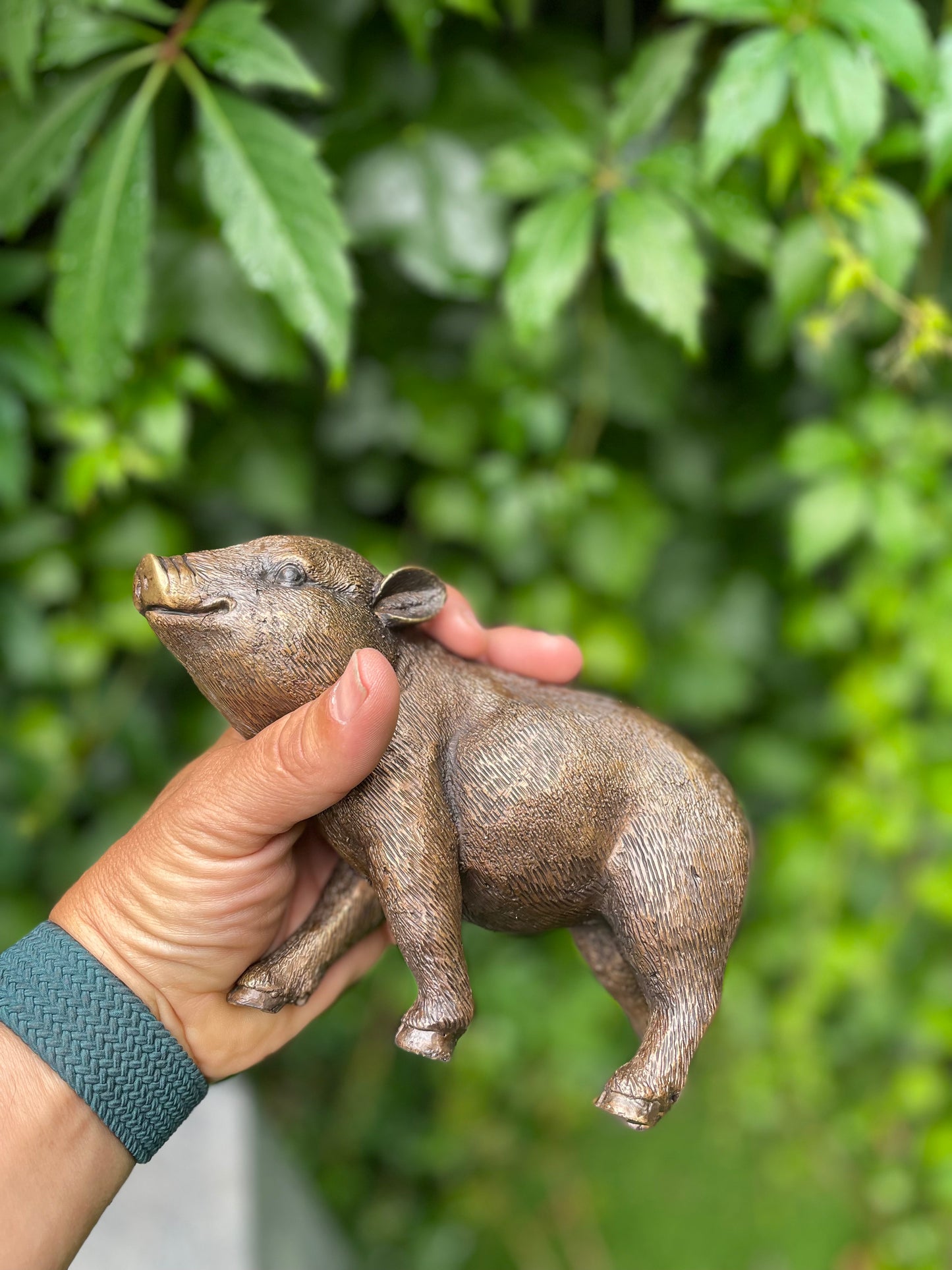 Bronze piglet - 18x16x12cm