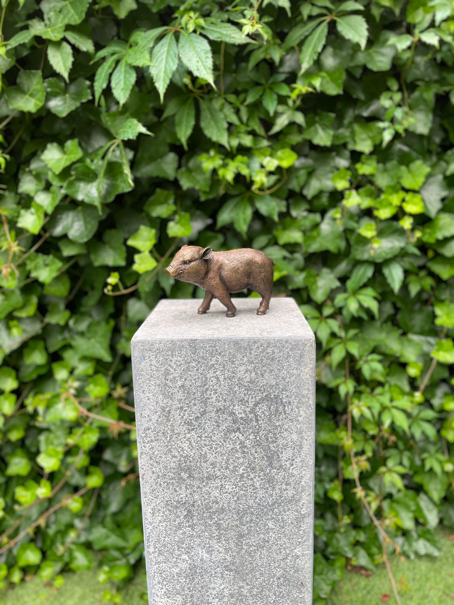 Bronze piglet - 18x16x12cm