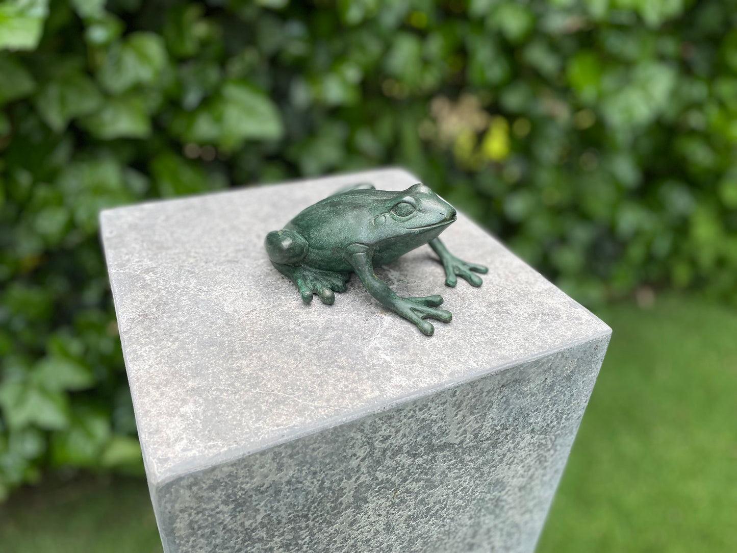 Bronze Frog - Fountain - Garden statue - Pond