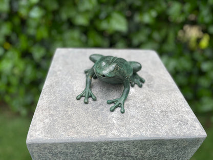 Bronze Frog - Fountain - Garden statue - Pond