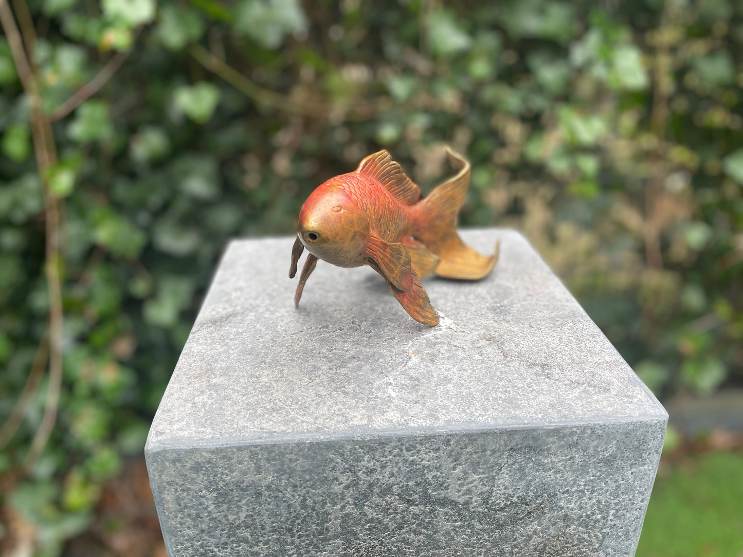 Bronze goldfish (Source) 11x8x18cm