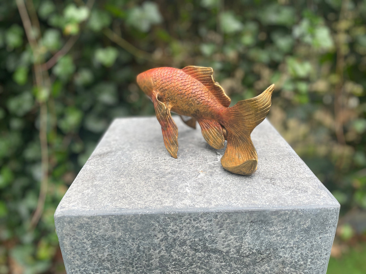 Bronze goldfish (Source) 11x8x18cm