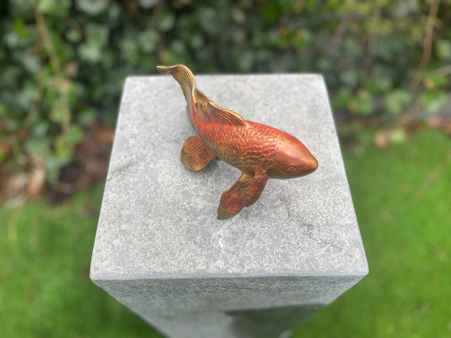 Bronze goldfish (Source) 11x8x18cm