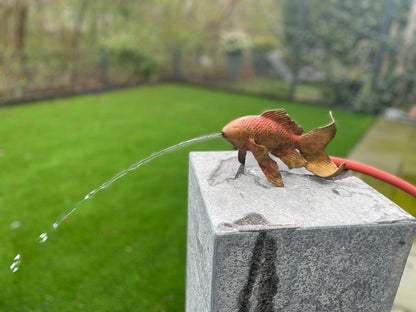 Bronze goldfish (Source) 11x8x18cm