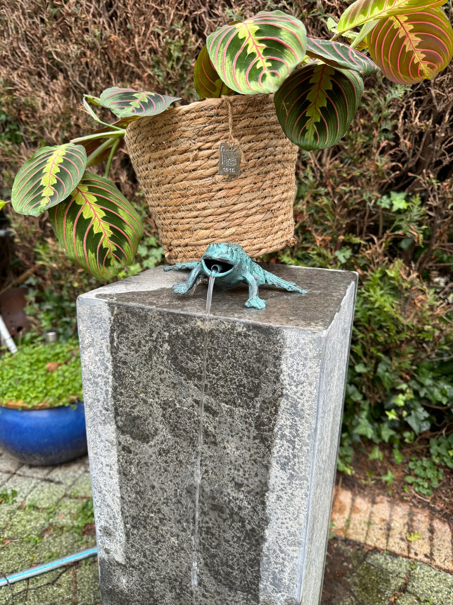 Bronze frog III - Fountain - Garden statue - Pond - Garden decoration