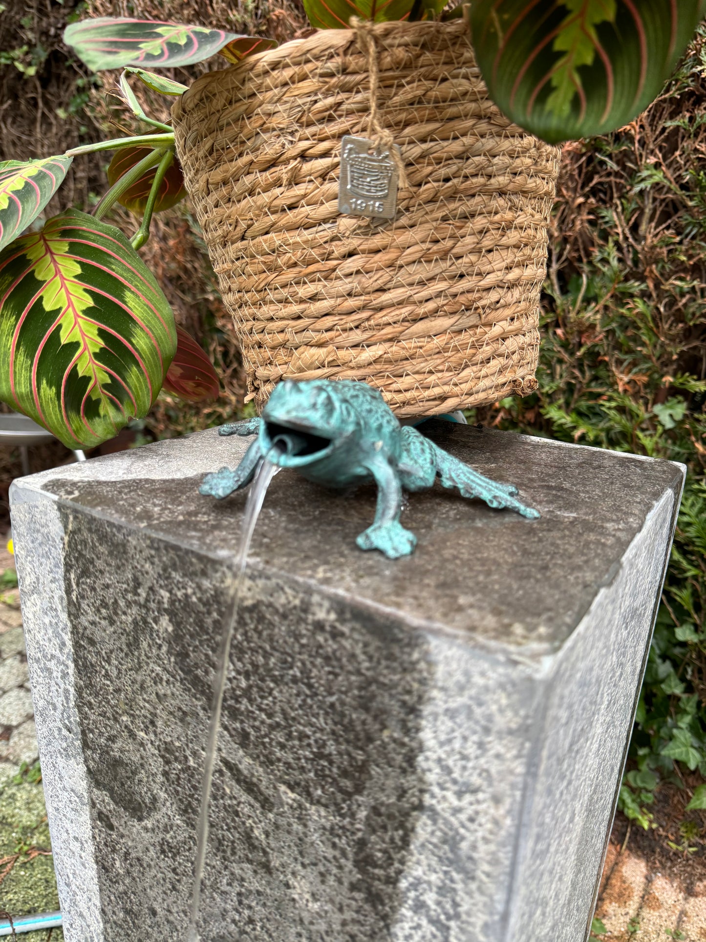 Bronze frog III - Fountain - Garden statue - Pond - Garden decoration