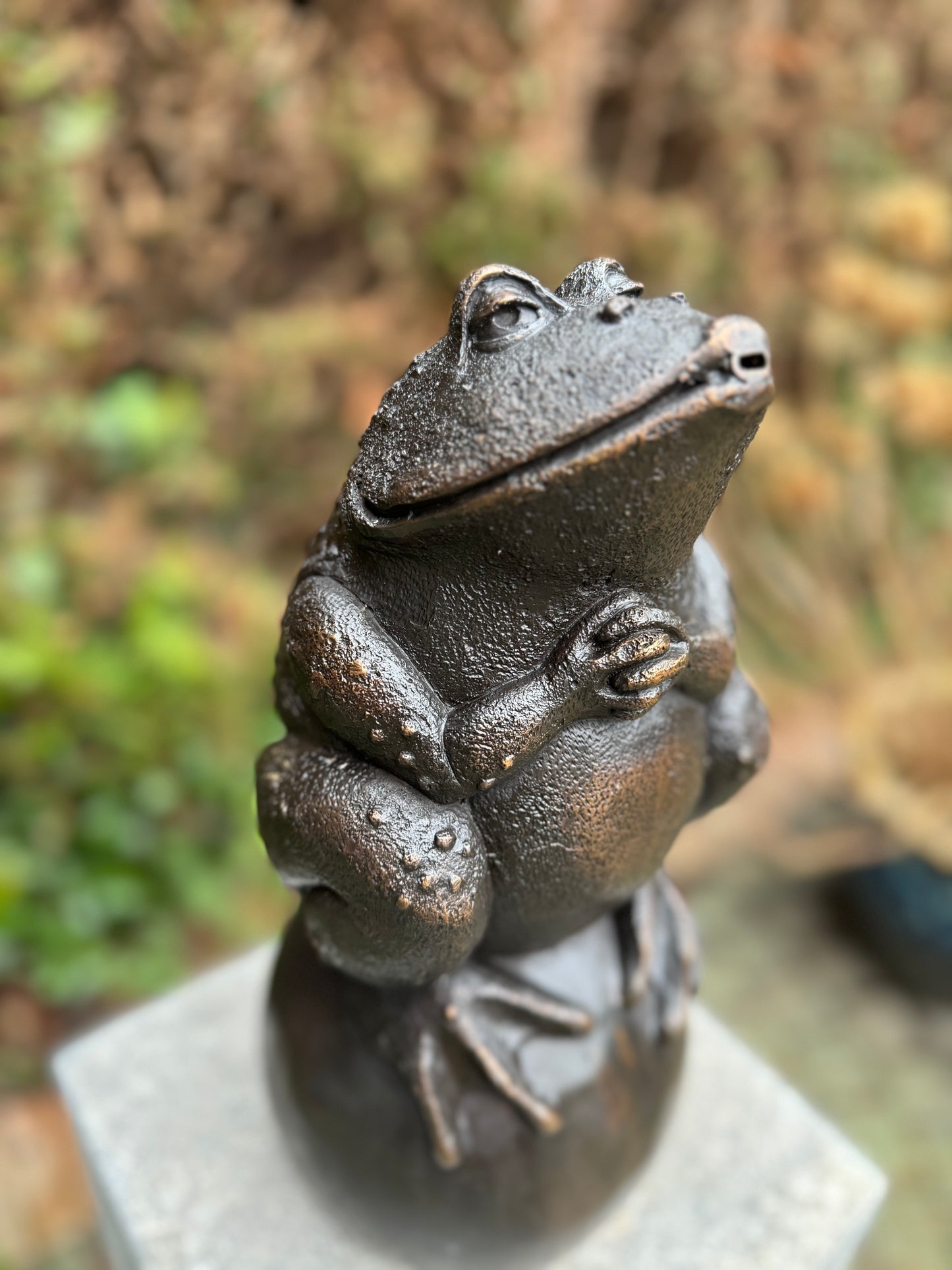 Bronze frog - fountain - garden statue - pond - garden decoration