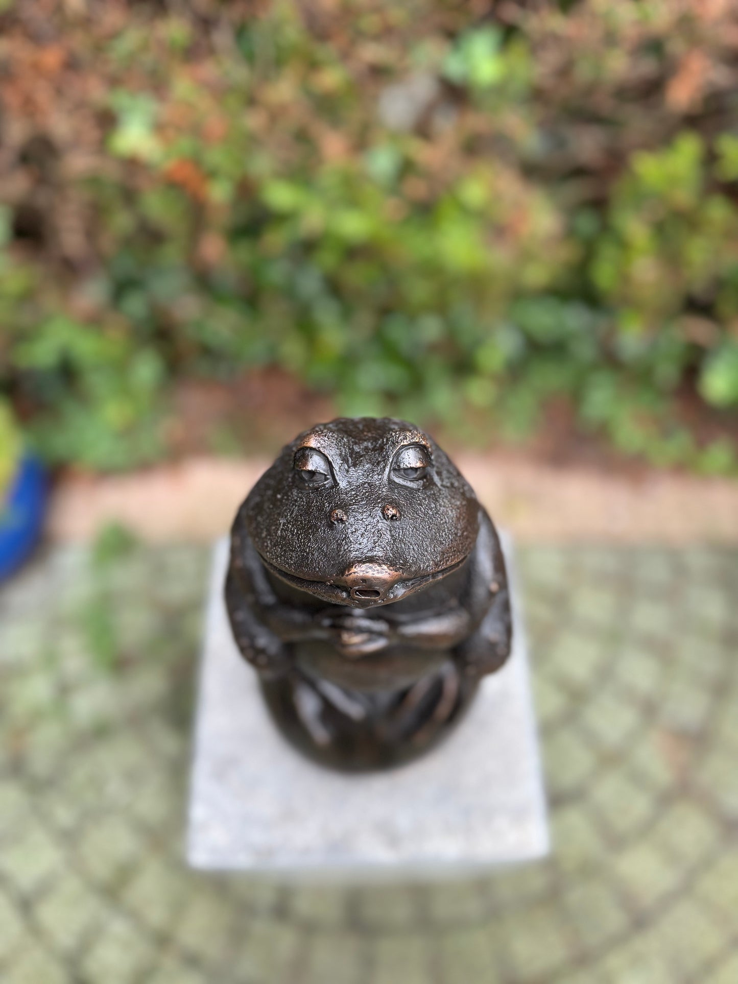 Sapo de bronze - fonte - estátua de jardim - lago - decoração de jardim