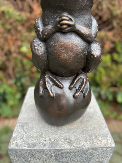 Bronze frog - fountain - garden statue - pond - garden decoration