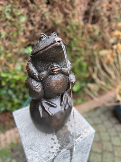 Bronze frog - fountain - garden statue - pond - garden decoration