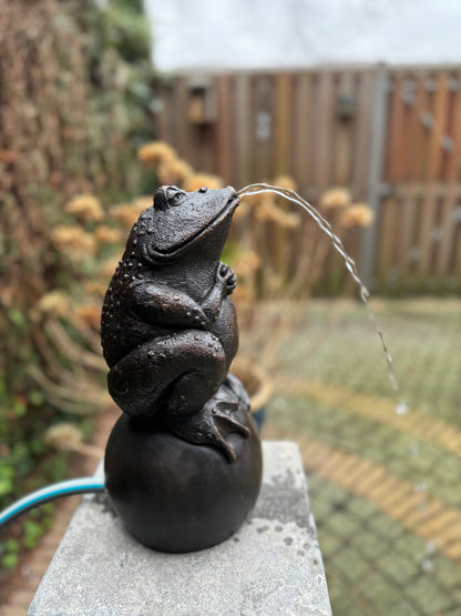 Bronze frog - fountain - garden statue - pond - garden decoration