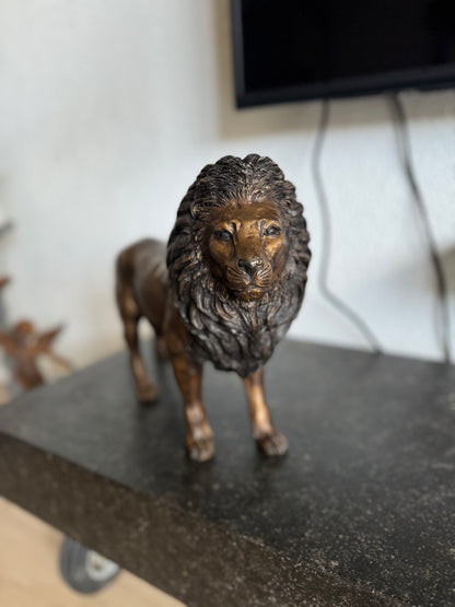 Bronze Lion 26x12x42cm