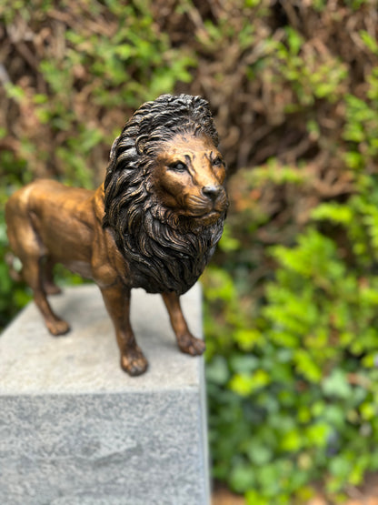 Bronze Lion 26x12x42cm