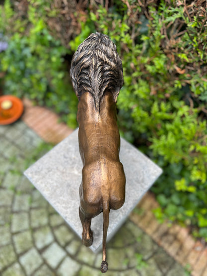 Bronze Lion 26x12x42cm