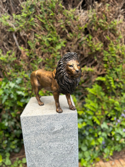 Bronze Lion 26x12x42cm