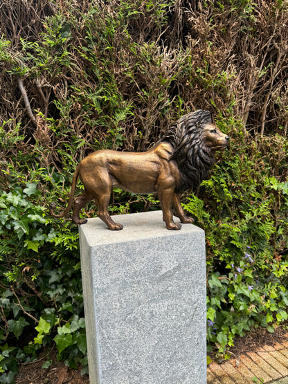 Bronze Lion 26x12x42cm