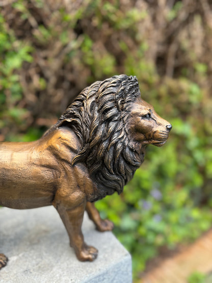 Bronze Lion 26x12x42cm