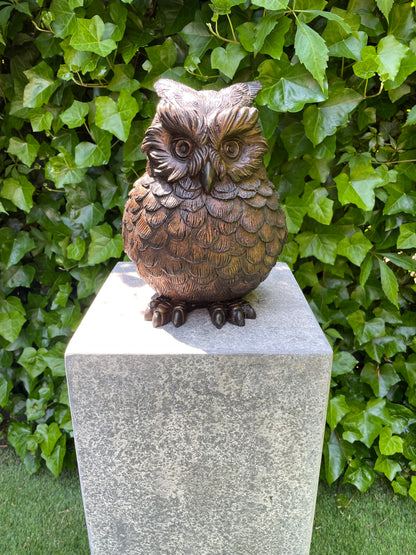 Bronze Owl - 18x16x24cm