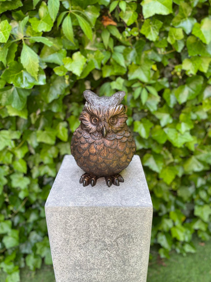 Bronze Owl - 18x16x24cm