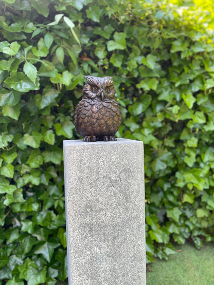 Bronze Owl - 18x16x24cm