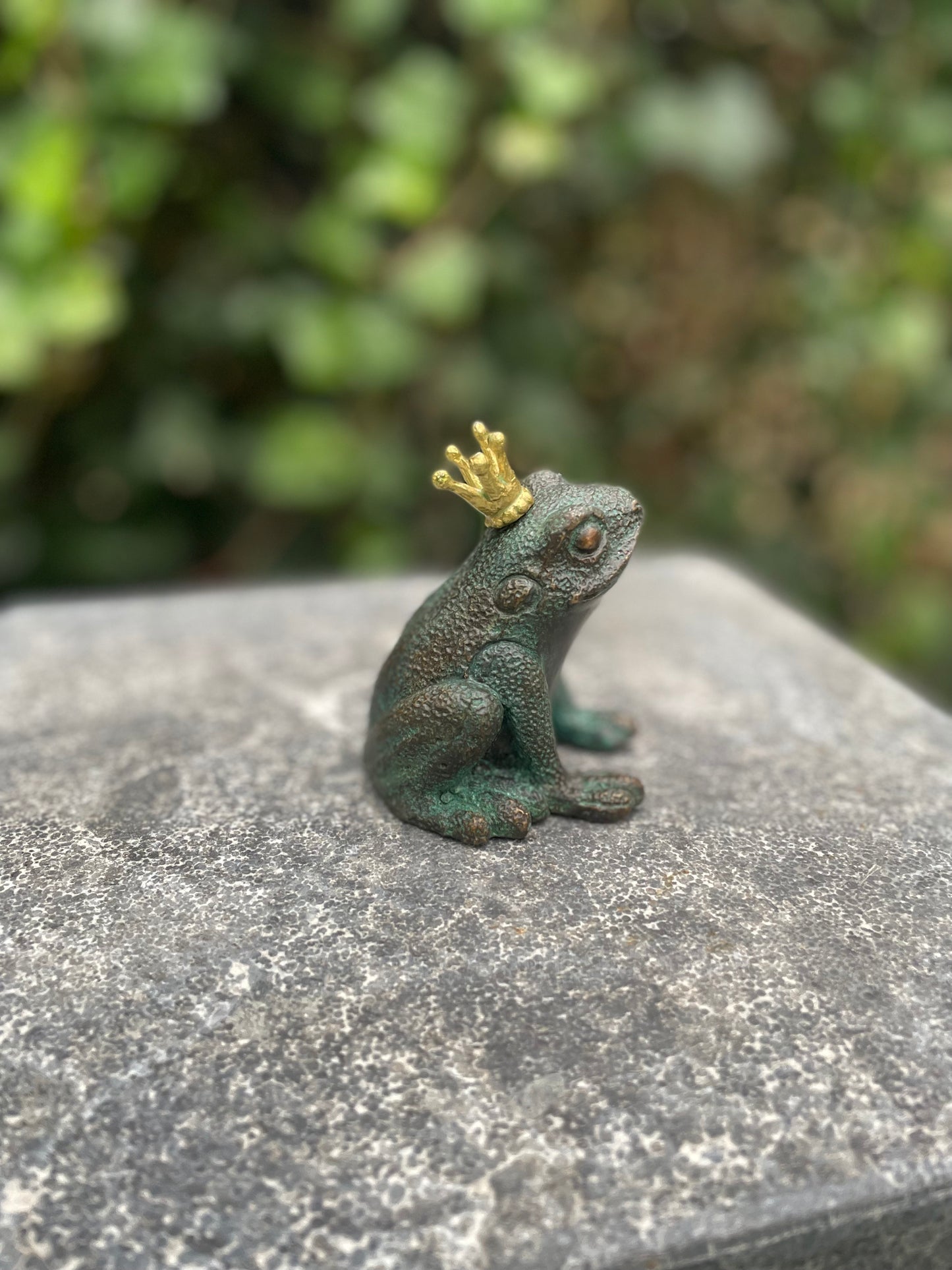 Bronze frog with crown - Fountain - Garden statue - Pond - Garden decoration