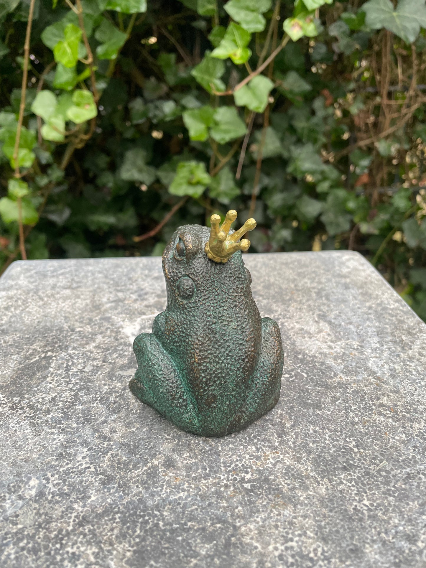 Bronze frog with crown - Fountain - Garden statue - Pond - Garden decoration