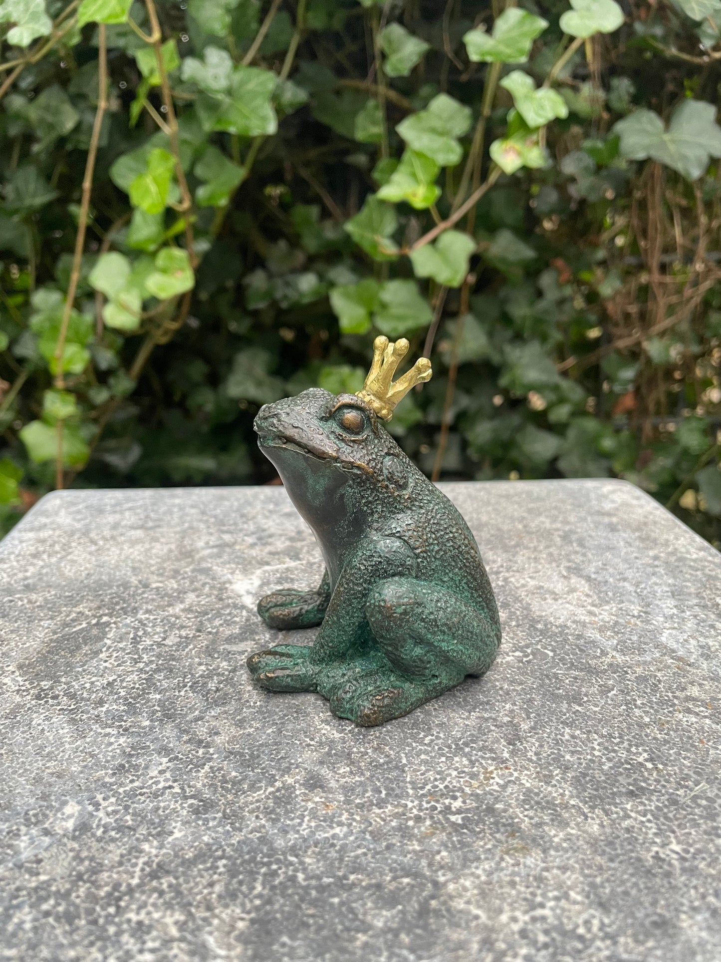 Bronze frog with crown - Fountain - Garden statue - Pond - Garden decoration