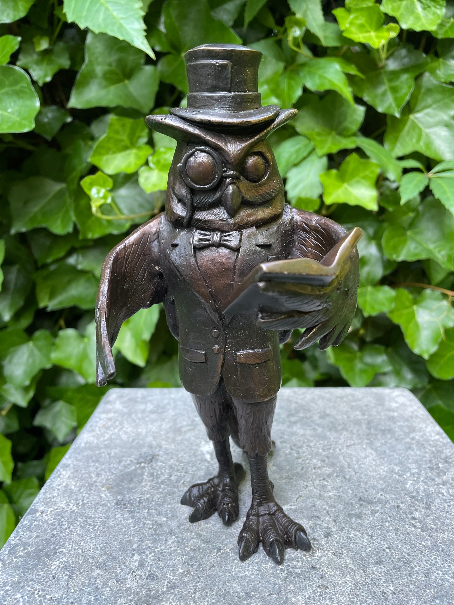 Bronze reading owl - 18x16x24cm