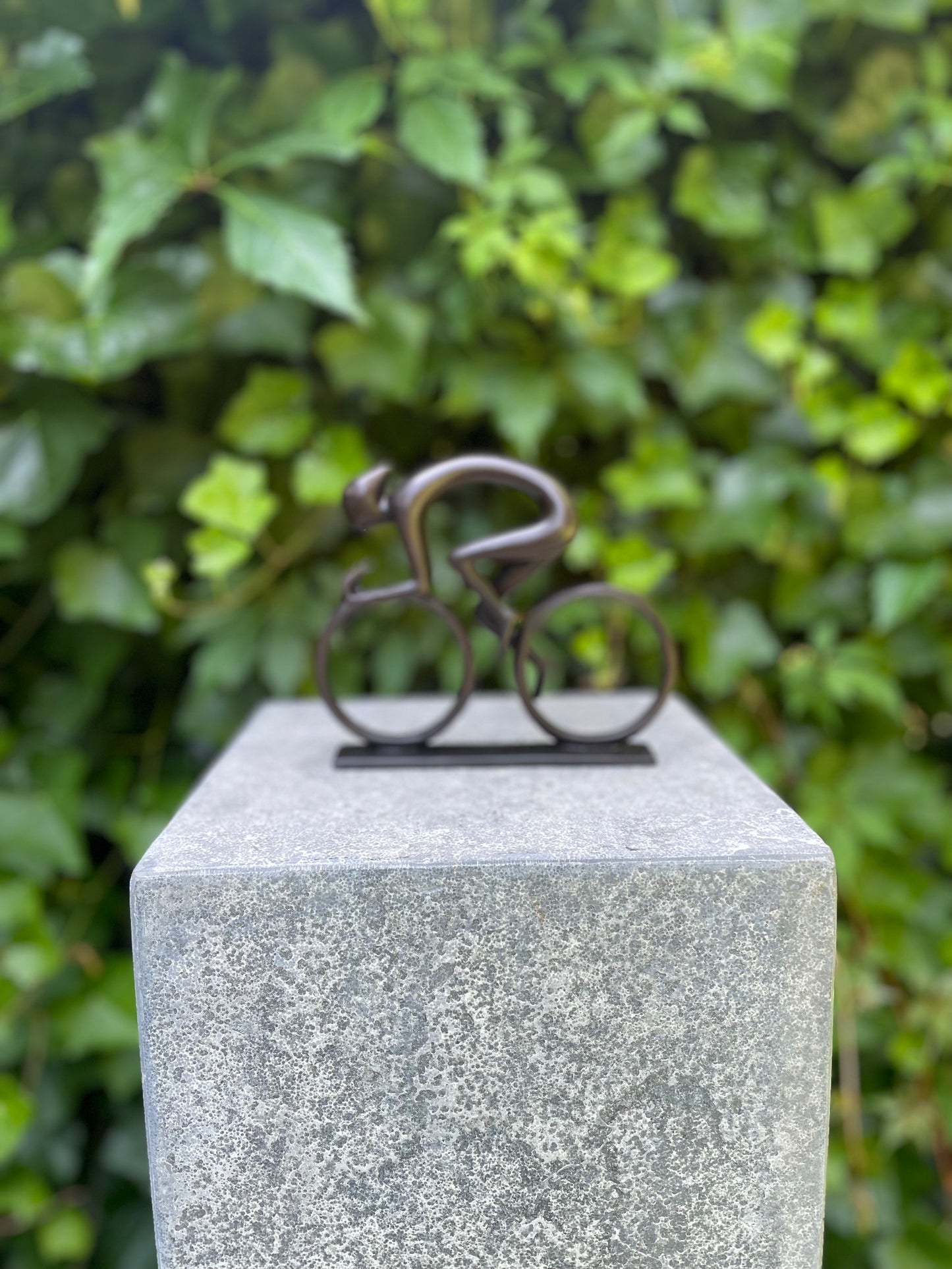 Bronze Cyclist - 15x17x3cm