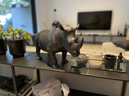 Rhino in Bronze 18x12x35cm