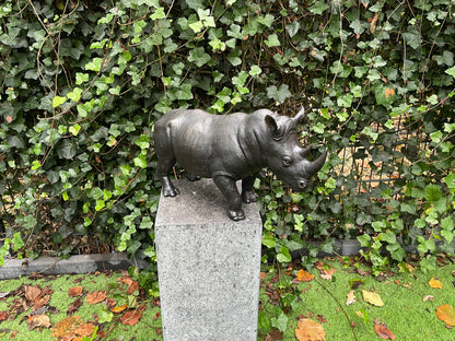 Rhino in Bronze 18x12x35cm