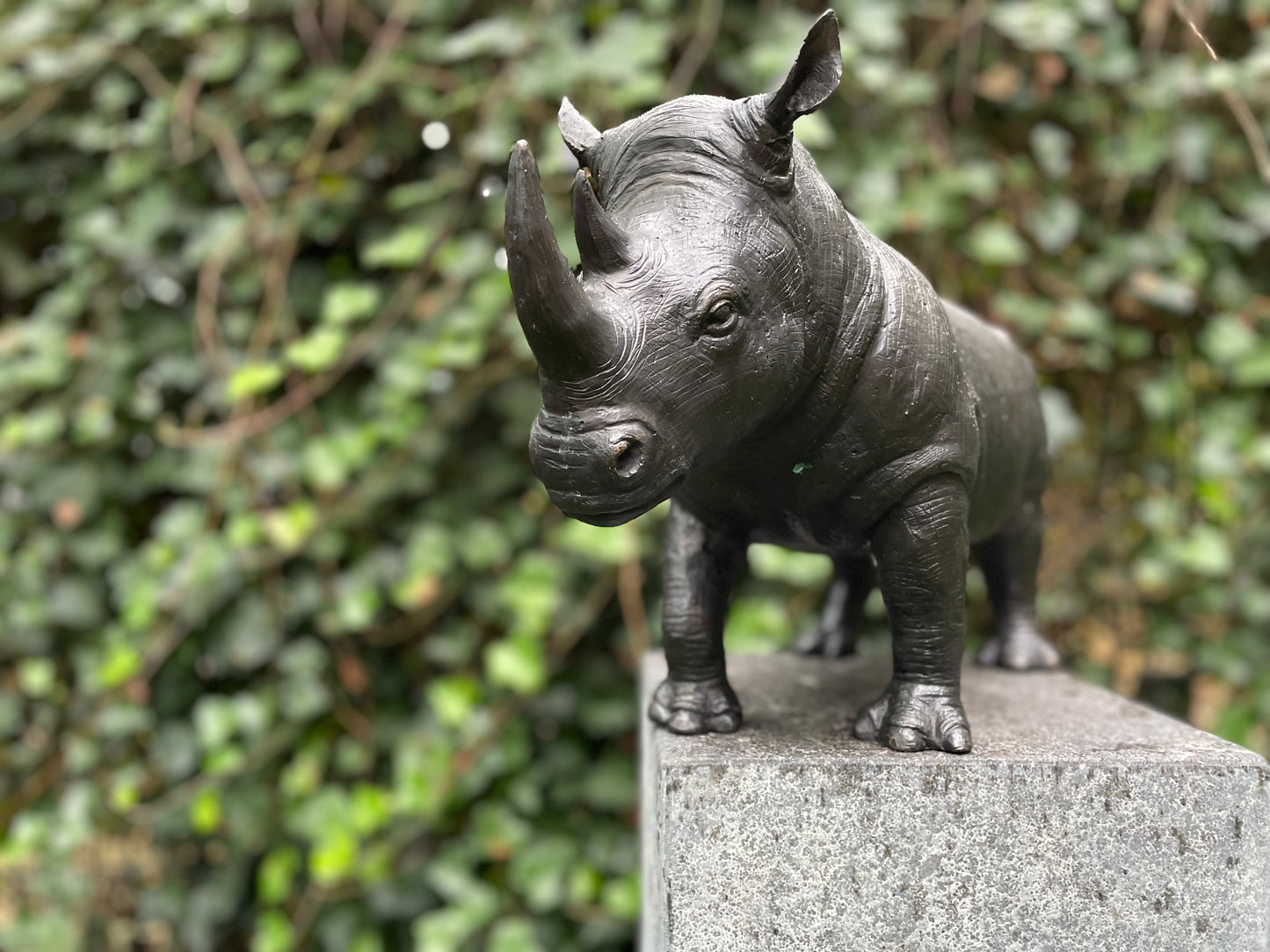 Rhino in Bronze 18x12x35cm