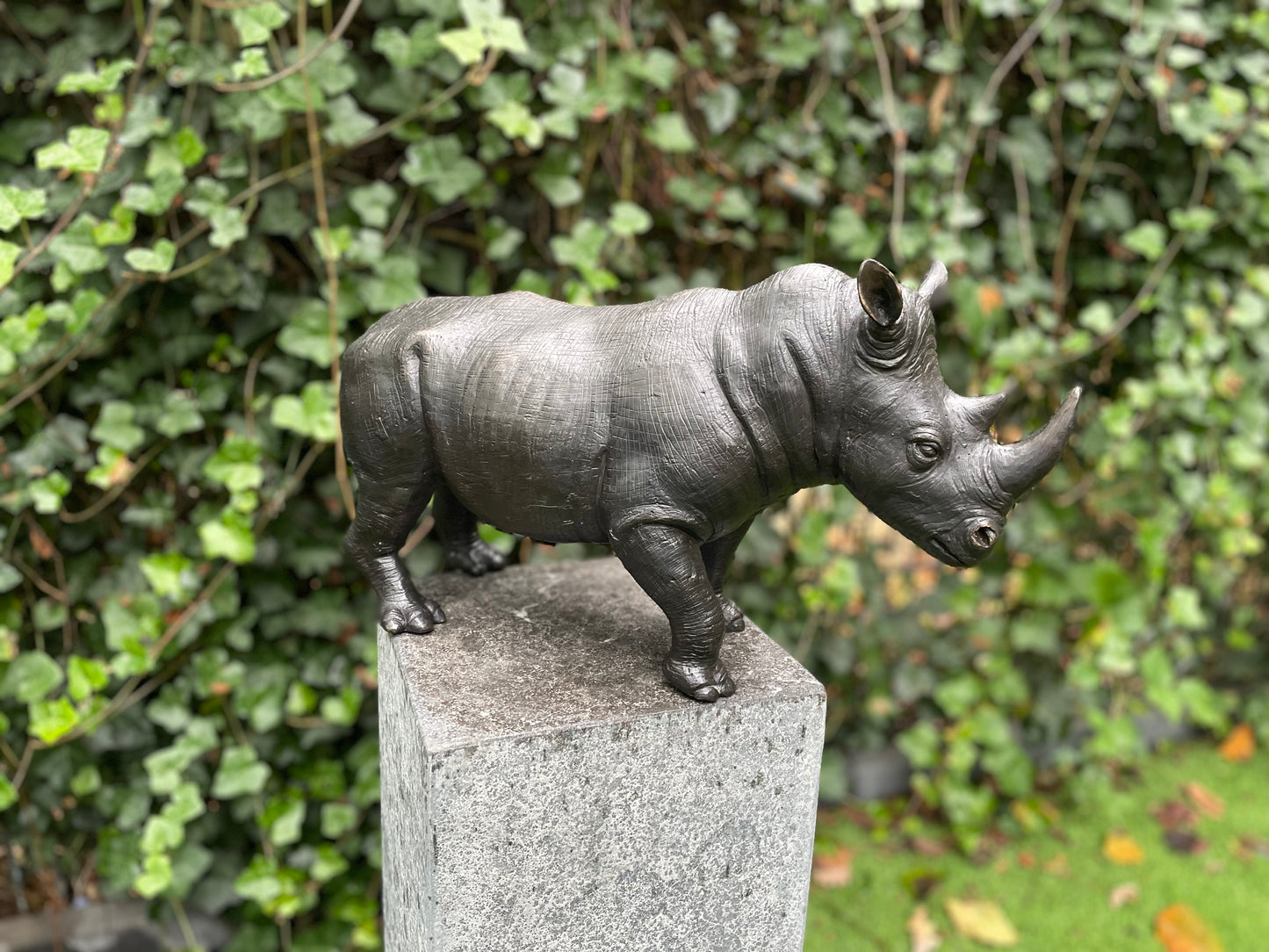 Rhino in Bronze 18x12x35cm