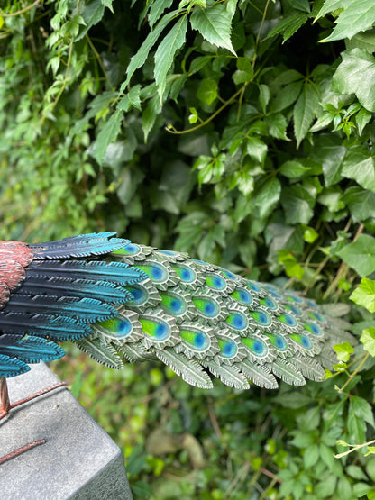 Metal peacock - 40x28x10cm - 2Kg