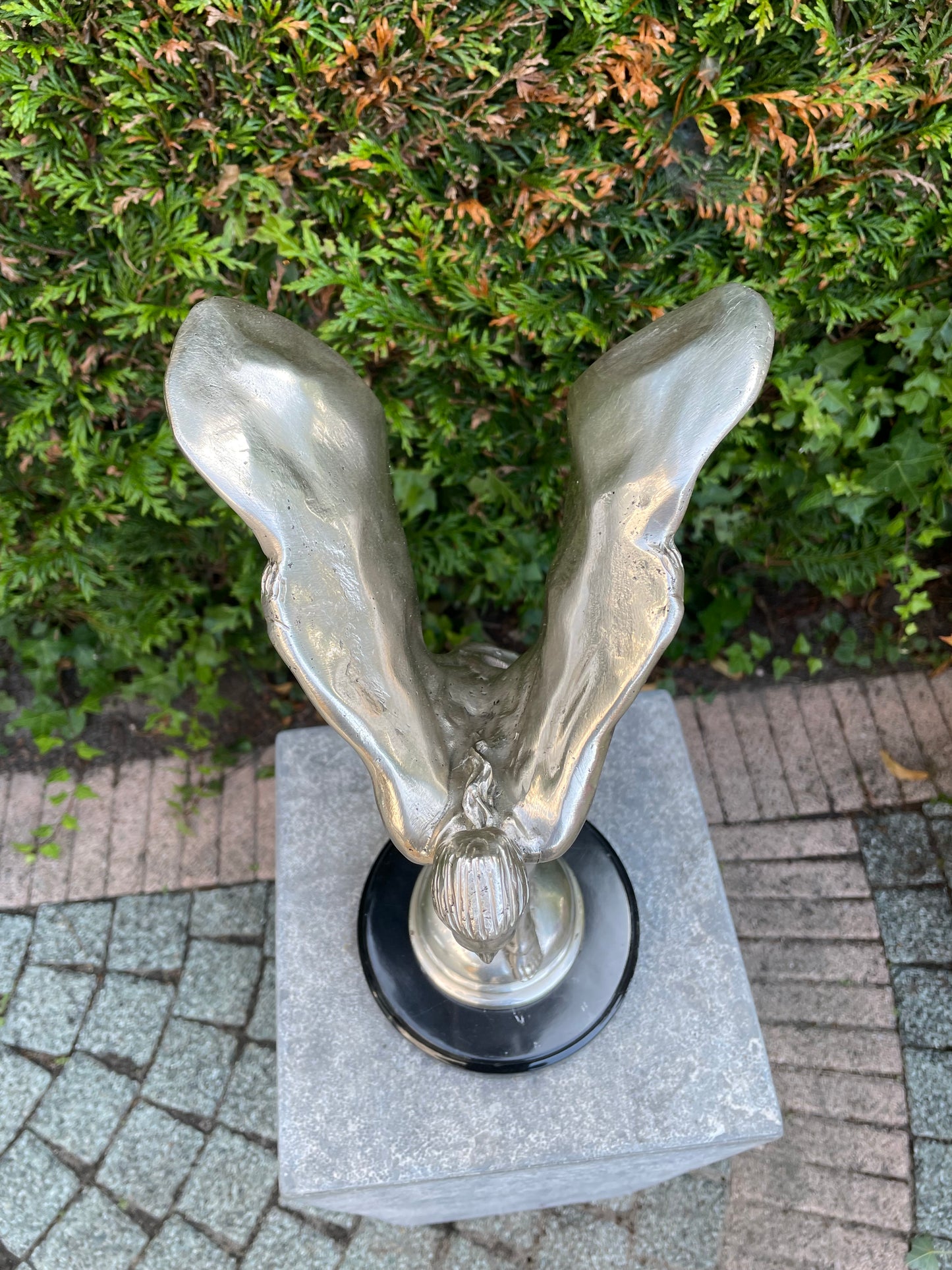 Bronze Spirit Of Ecstasy - 20x19x34cm -3.5Kg