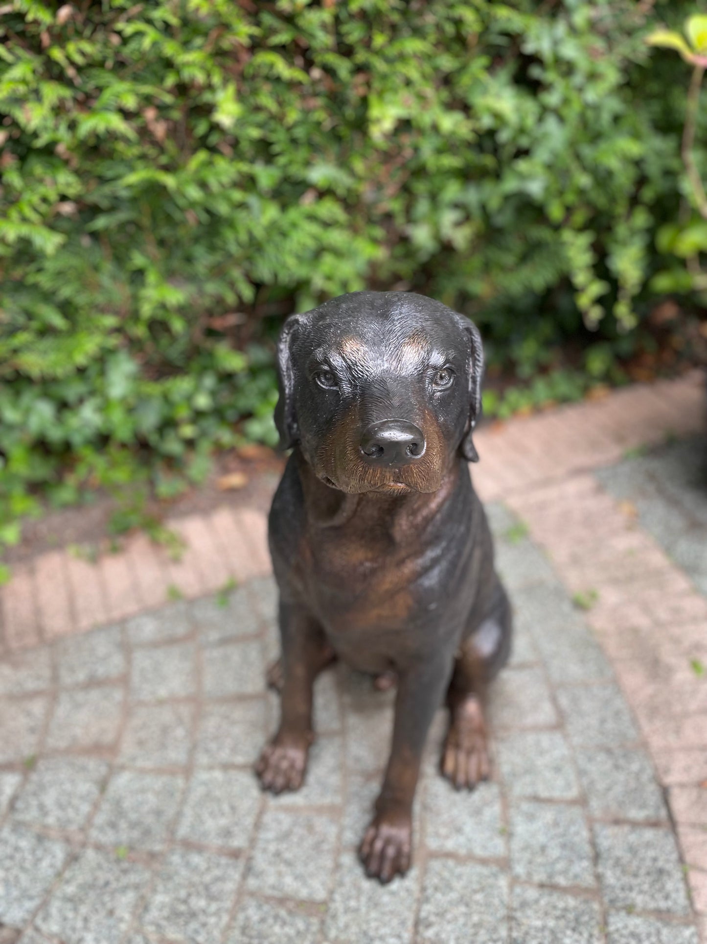 Bronzen Rottweiler - 44x35x64cm - 11Kg