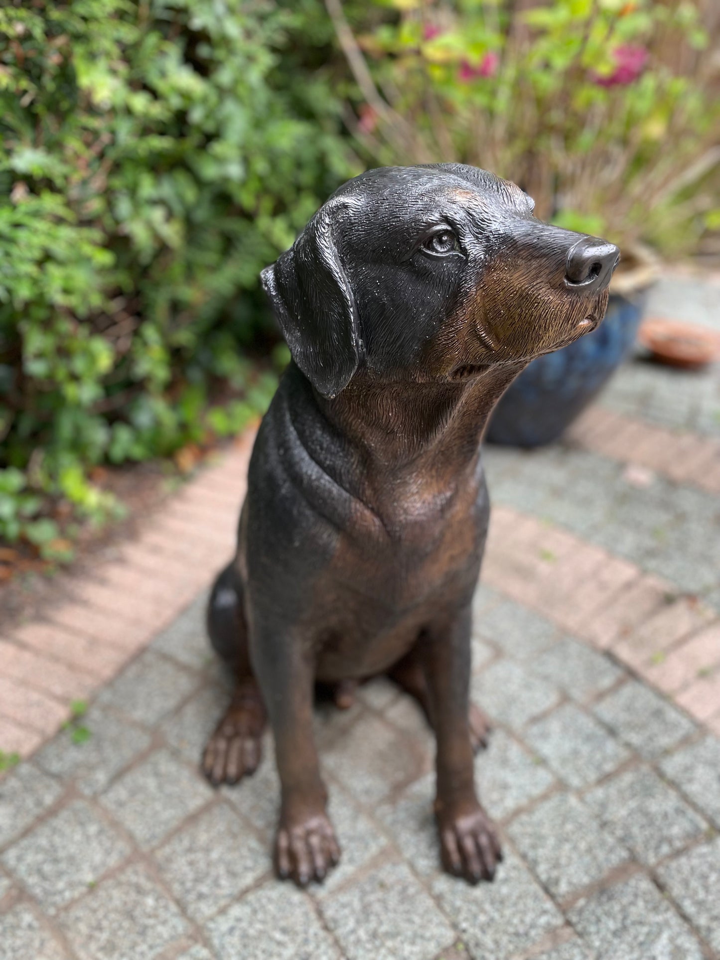 Bronze Rottweiler -  44x35x64cm - 11Kg